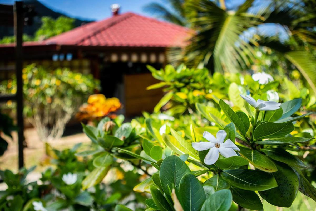 Raiatea Sur Mer Opoa Екстер'єр фото