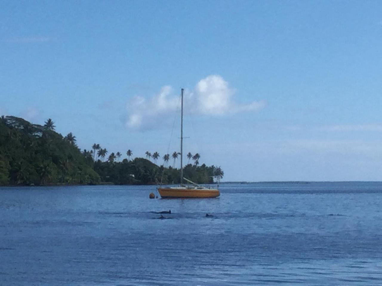 Raiatea Sur Mer Opoa Екстер'єр фото